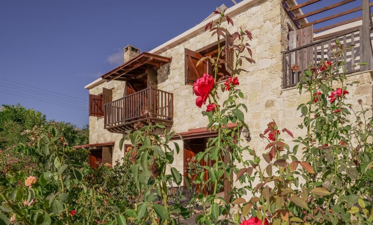 Phaedrus Living: Amarakos Pafos